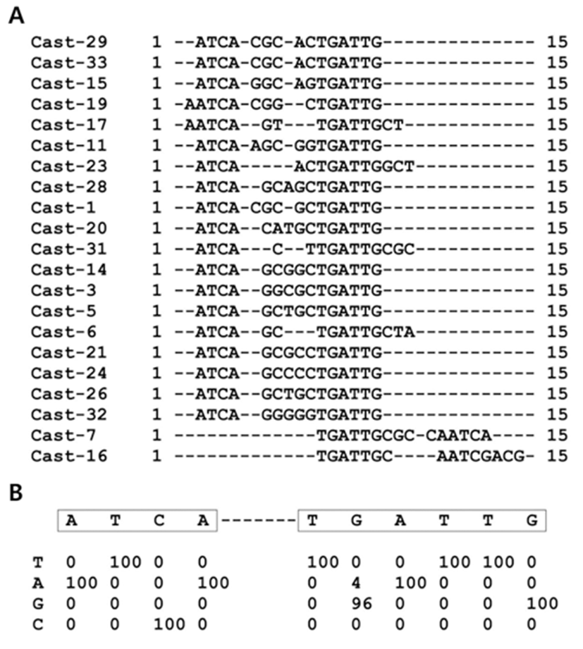 dr-16-4-379-g001