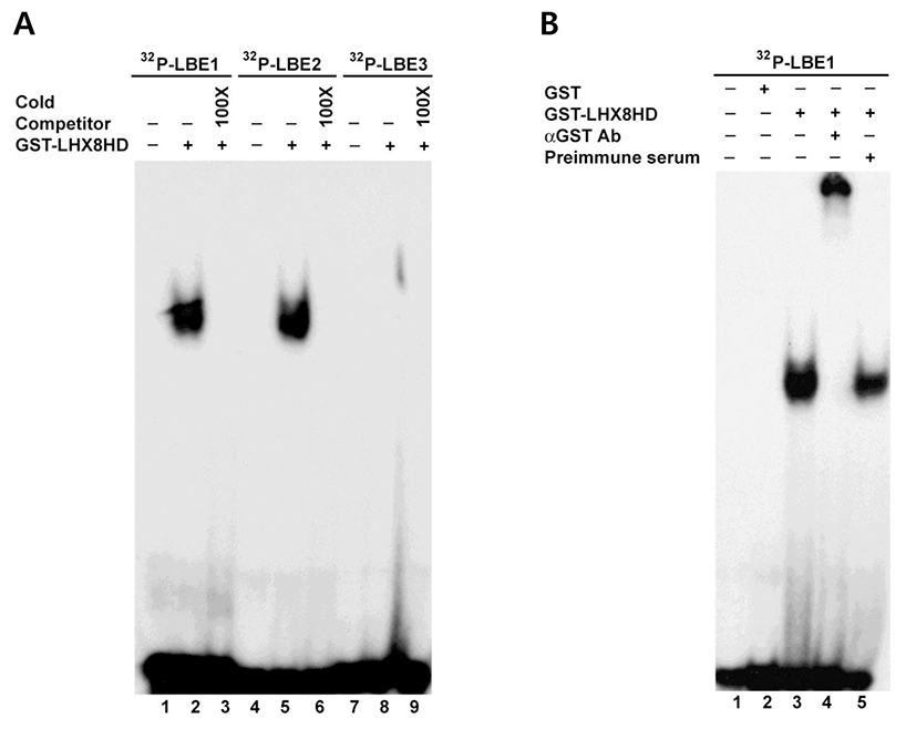 dr-16-4-379-g002