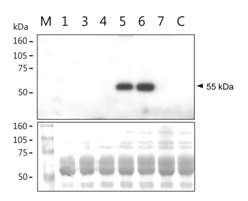 dr-17-1-1-g002