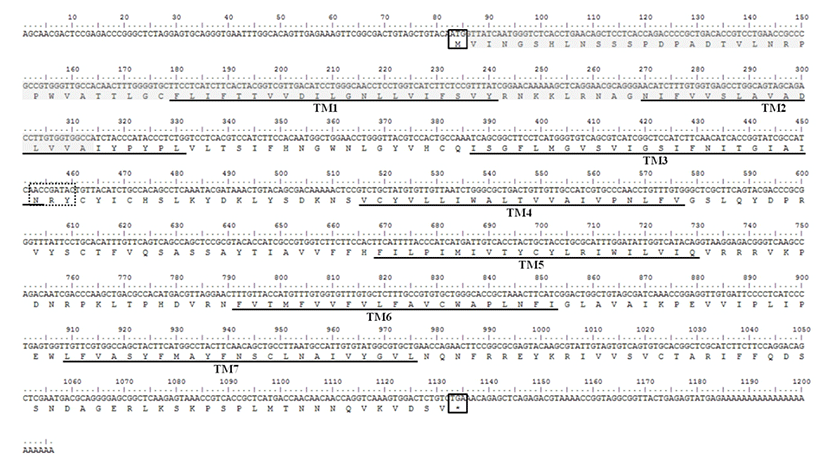 dr-17-1-45-g001