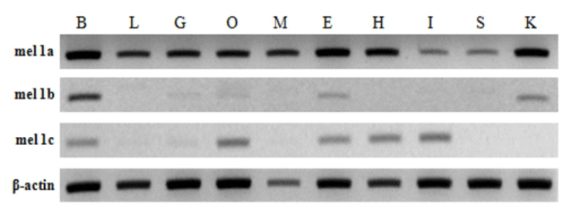 dr-17-1-45-g004