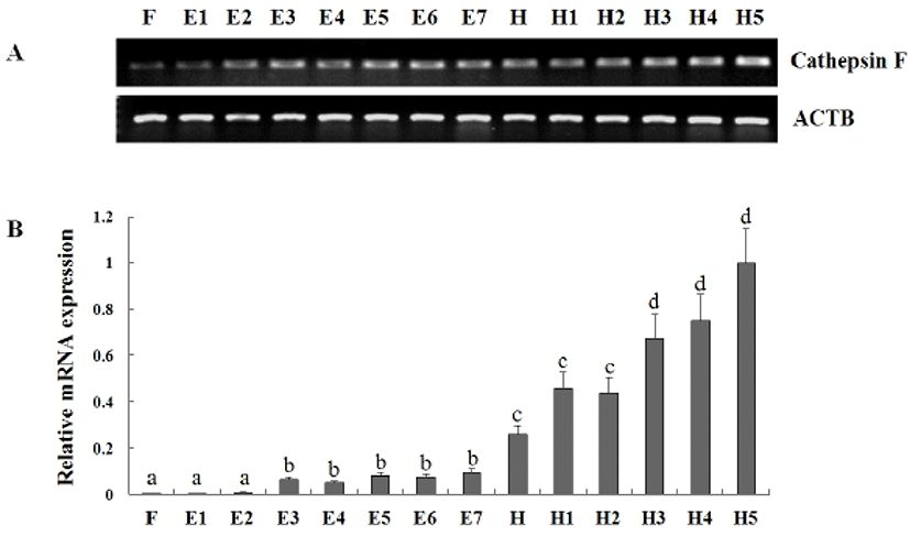 dr-17-3-221-g004