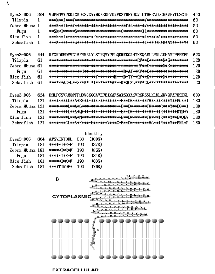 dr-17-3-231-g002