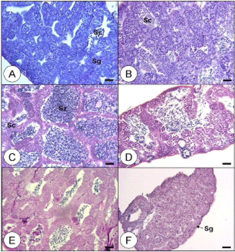 dr-17-4-353-g004