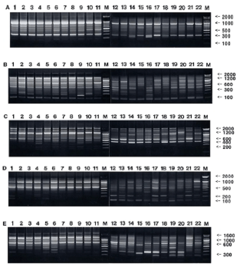 dr-17-4-363-g001