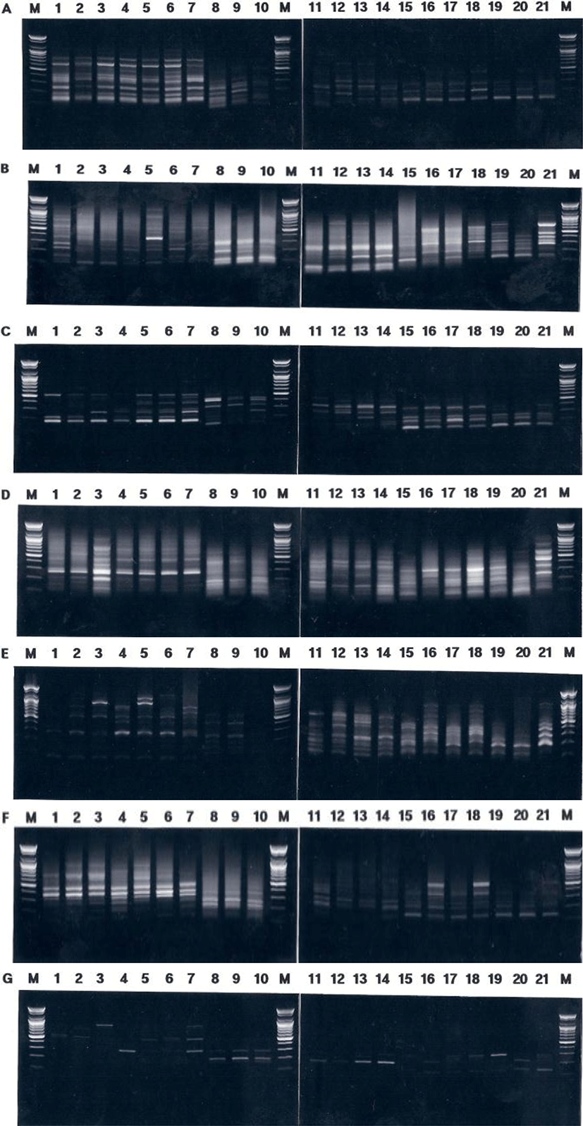 dr-18-1-43-g002