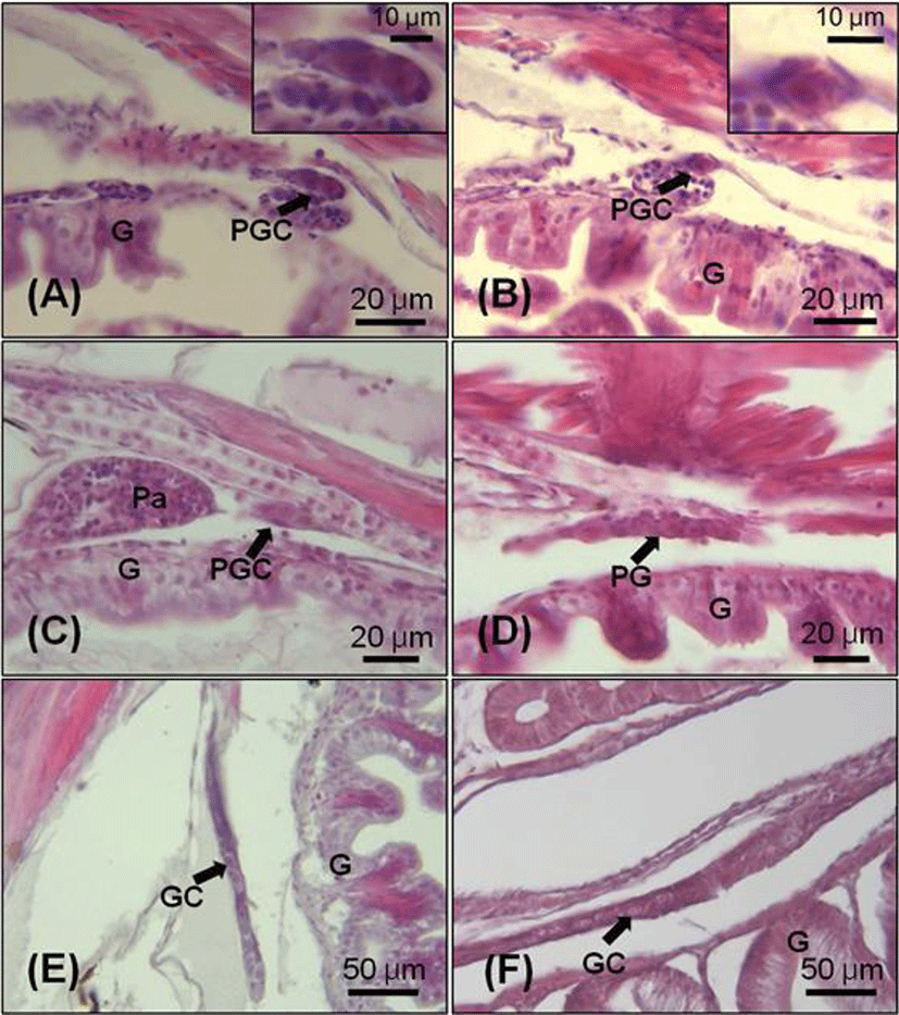 dr-18-1-51-g002