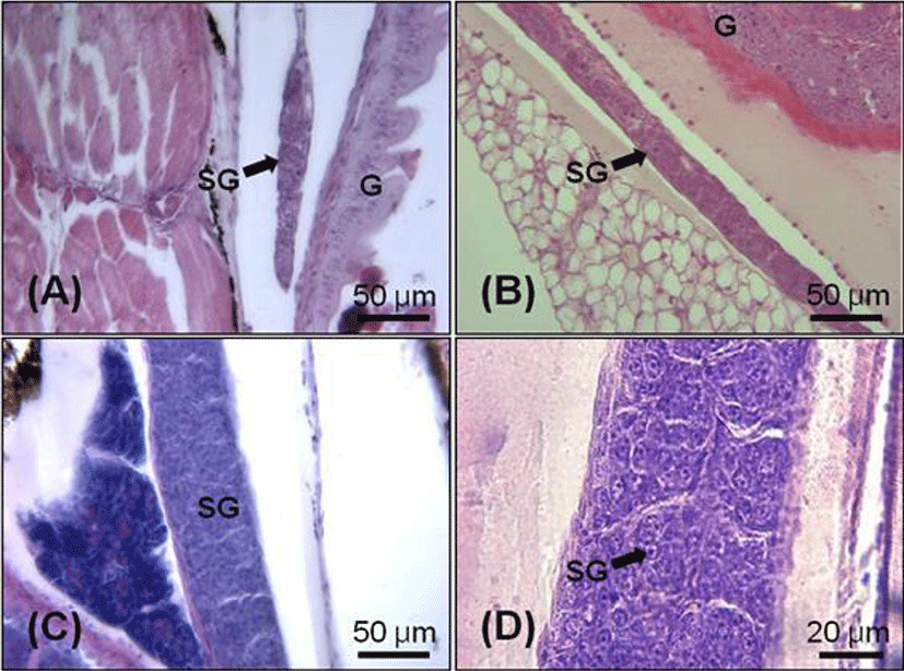 dr-18-1-51-g004