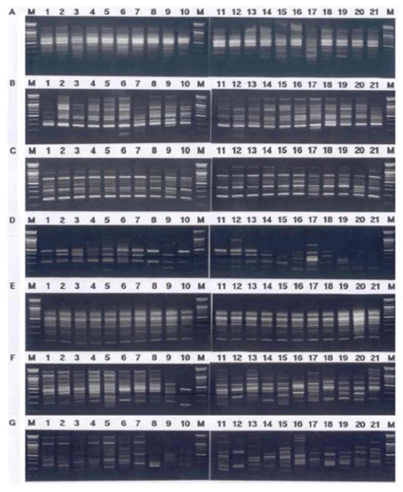 dr-18-3-167-g001