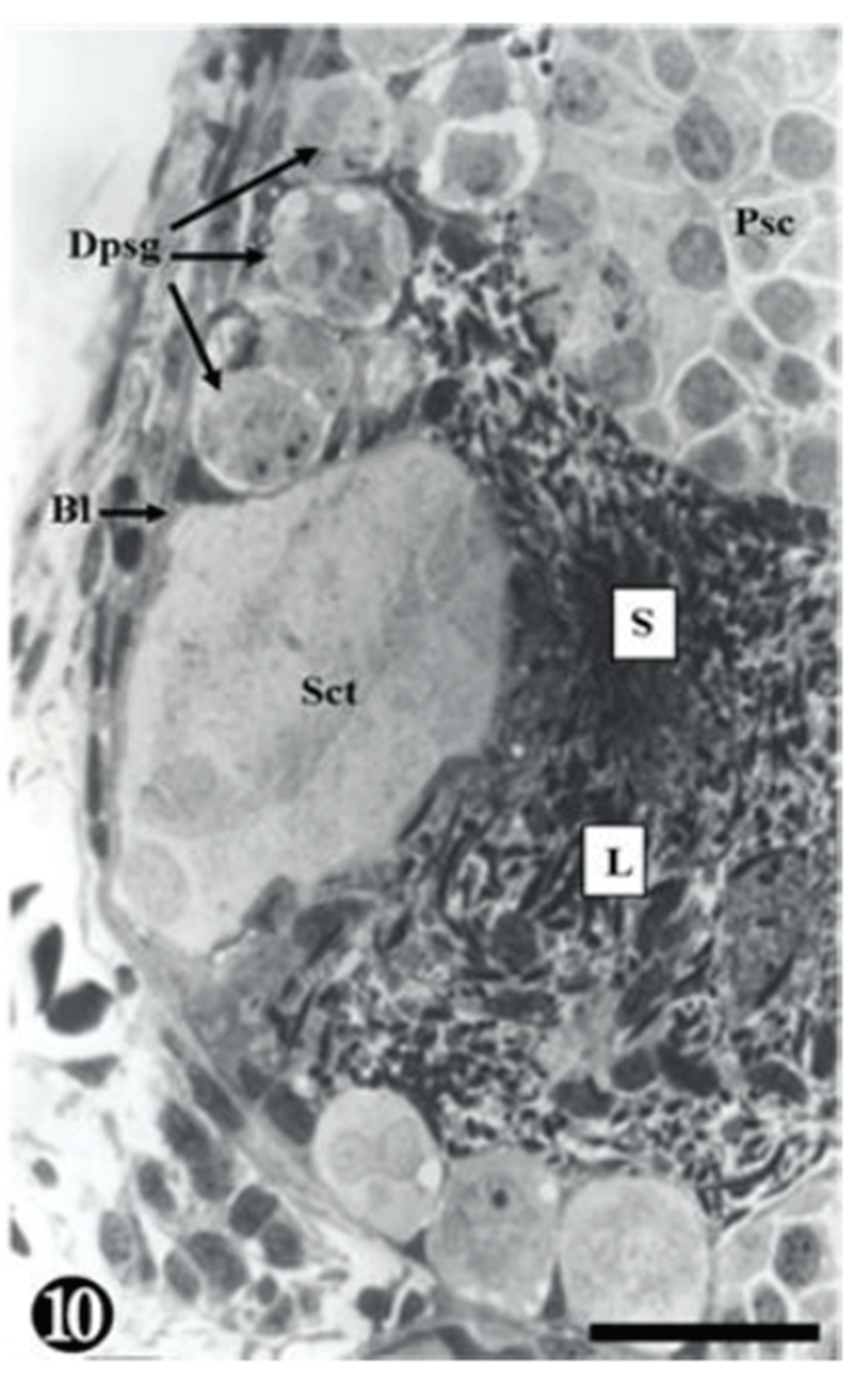 dr-19-1-1-g011