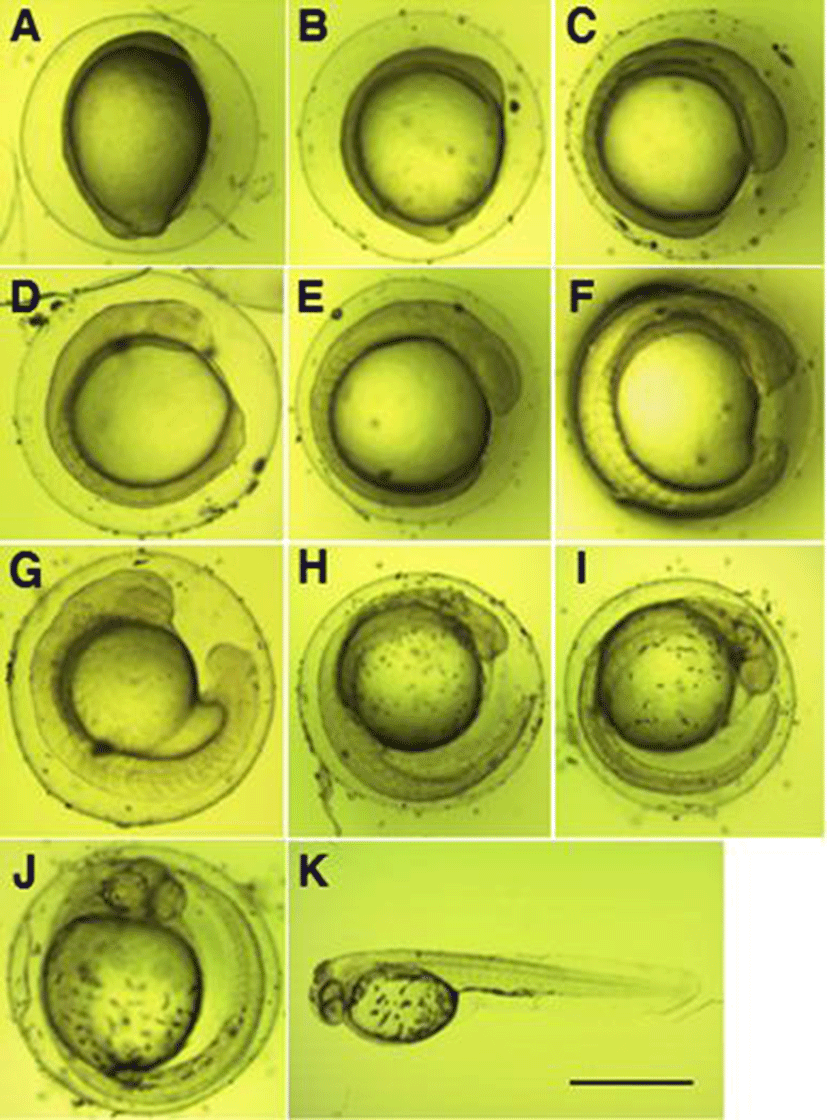 dr-19-1-25-g002