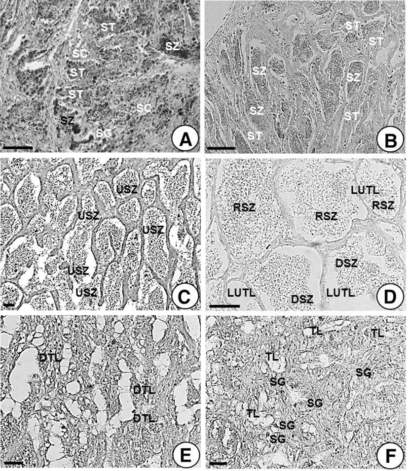 dr-19-1-33-g005