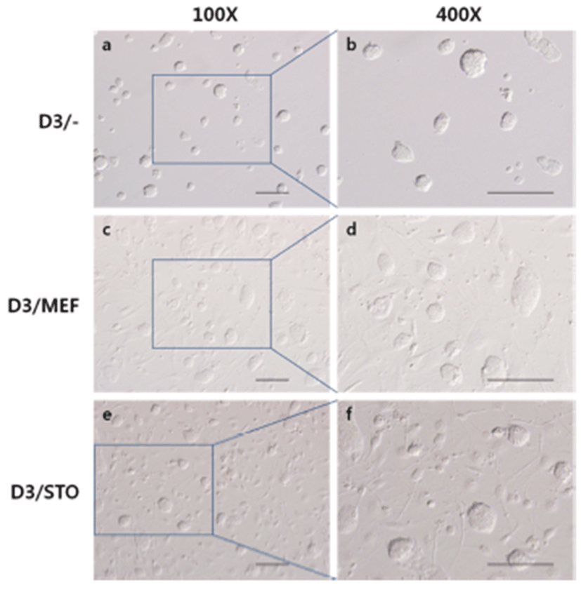 dr-19-3-119-g002