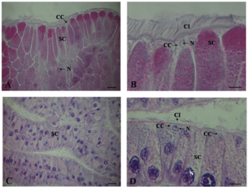 dr-19-4-197-g010