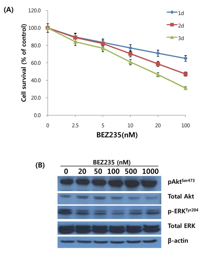 dr-20-1-1-g001