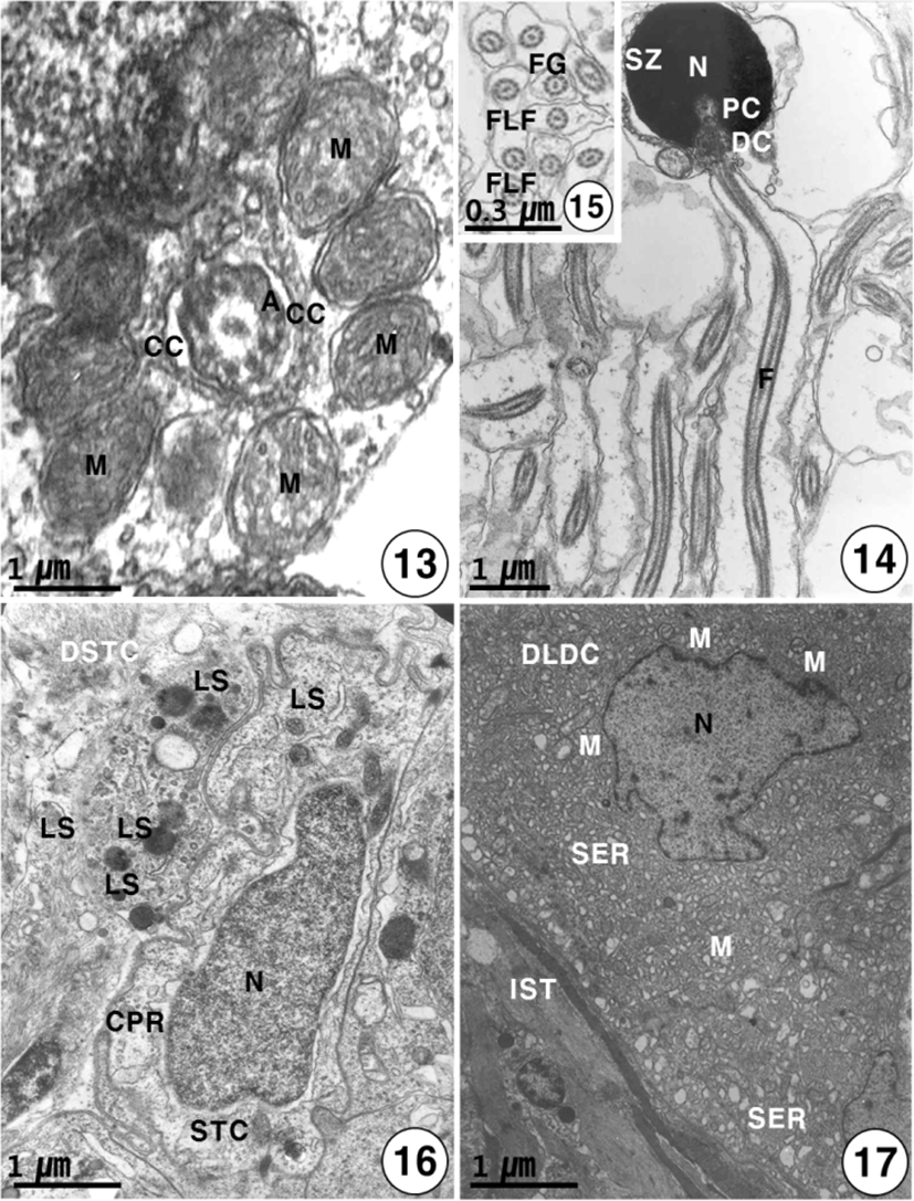 dr-20-1-11-g013_17