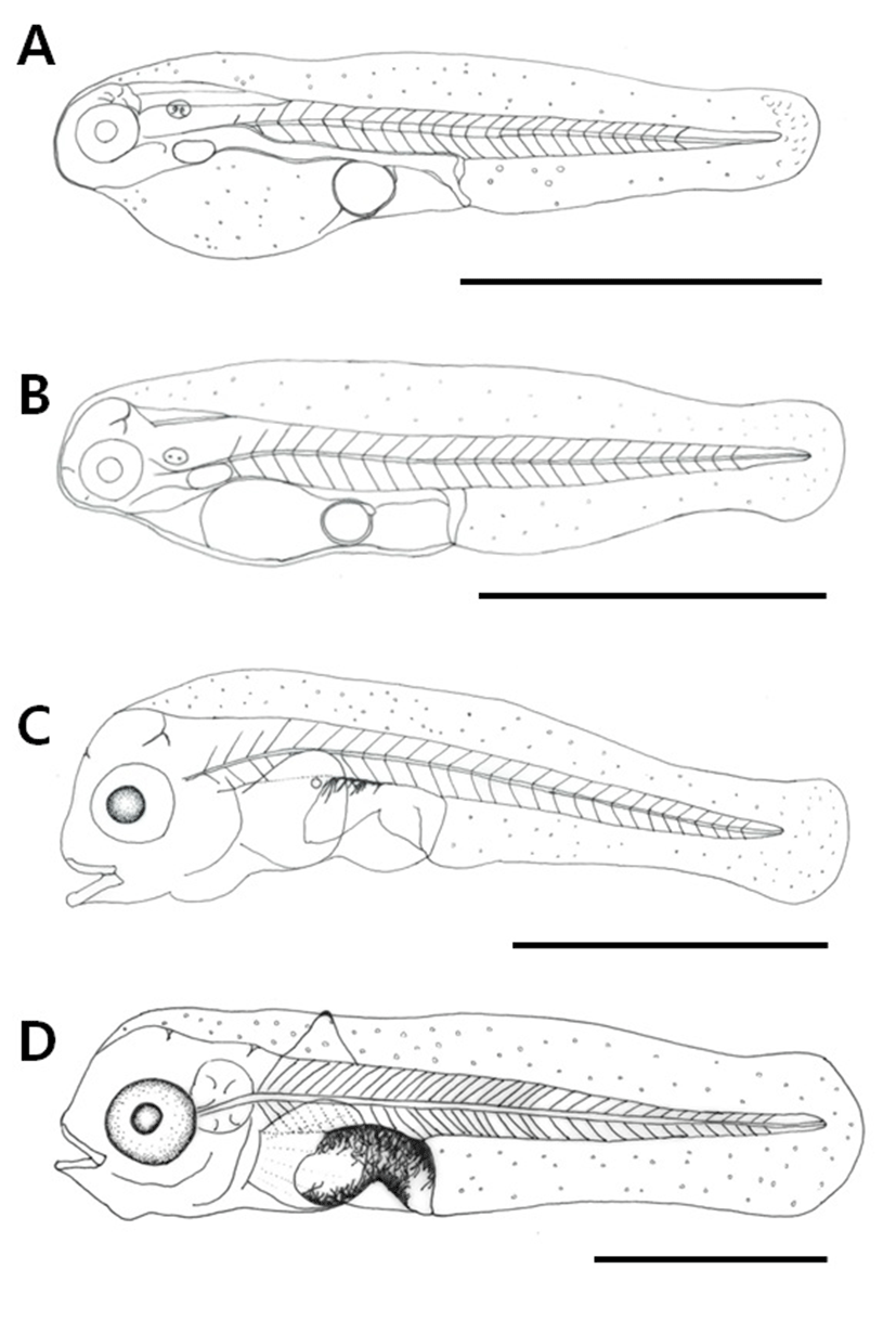 dr-20-1-31-g003