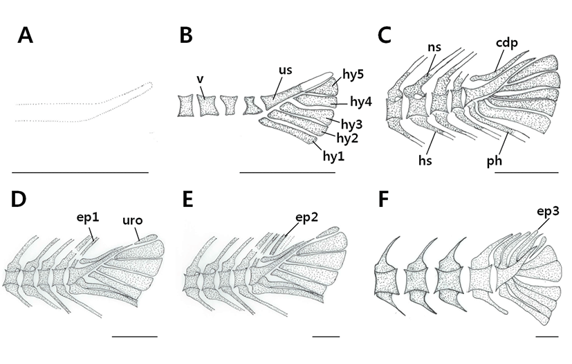 dr-20-2-87-g002