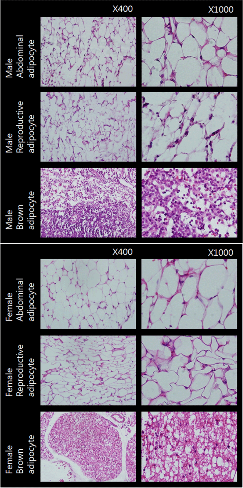 dr-20-3-197-g001