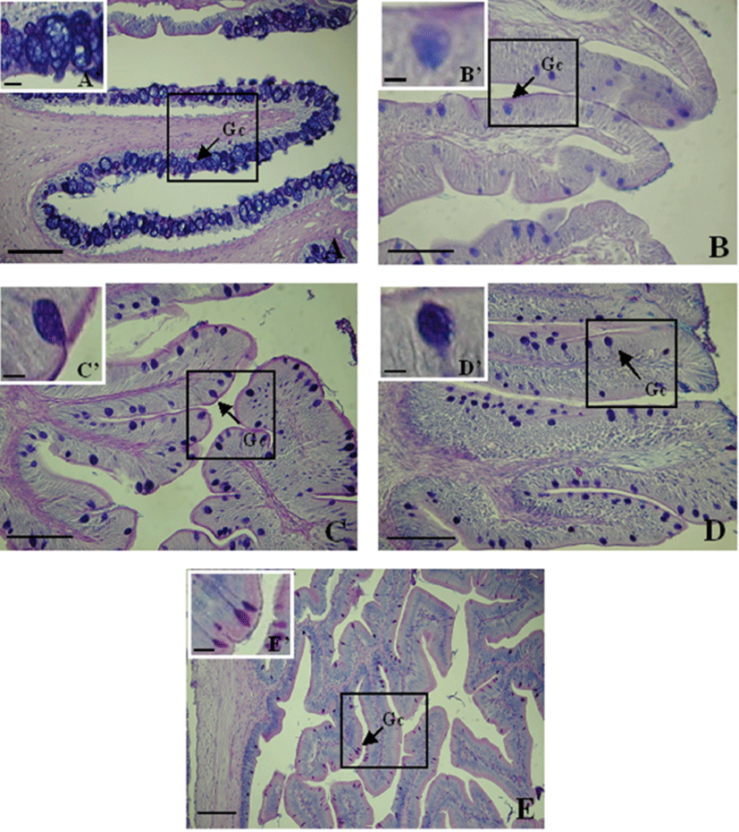 dr-20-3-207-g007