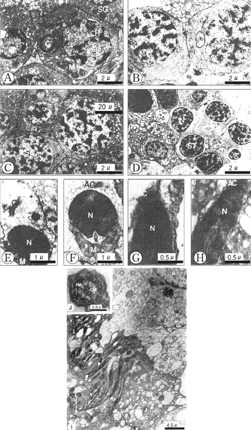 dr-20-3-247-g002