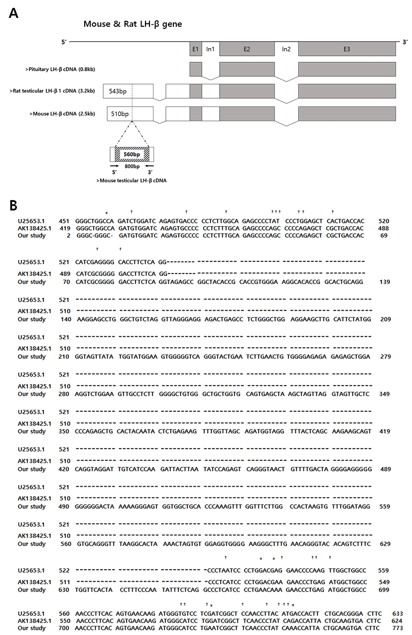 dr-21-3-327-g2