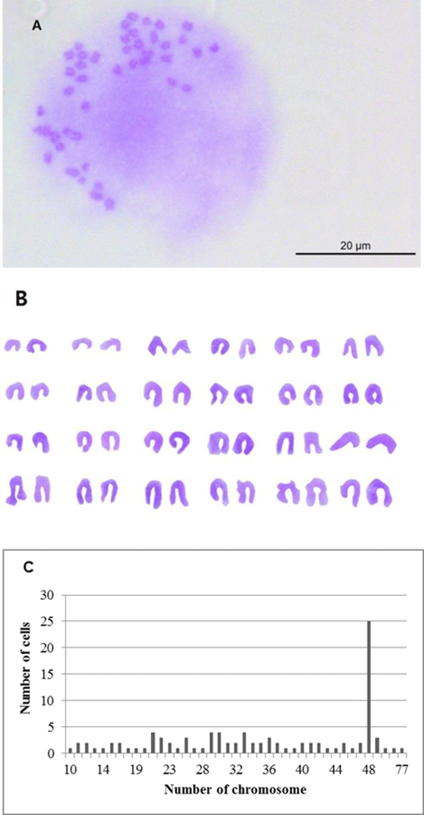 dr-22-3-225-g3