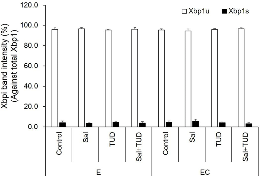 dr-22-3-235-g4