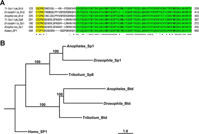 dr-23-1-63-g1