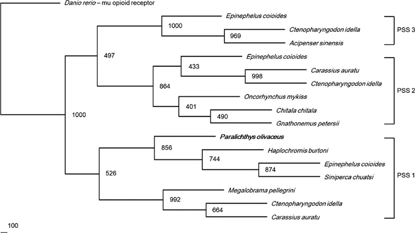 dr-23-2-149-g3