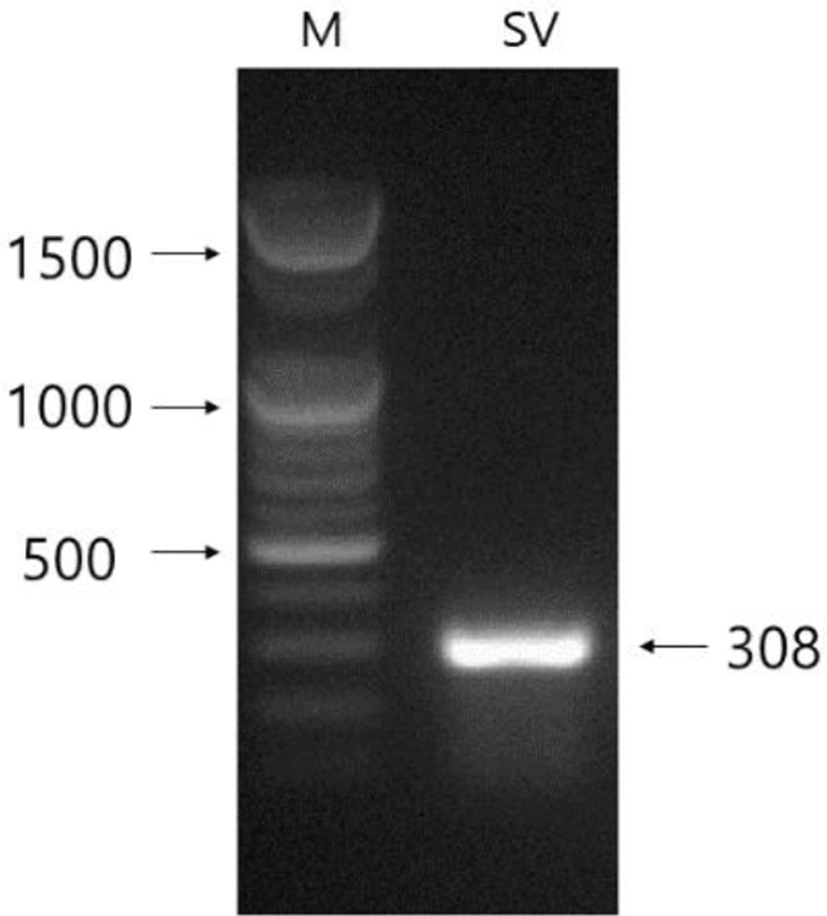 dr-23-4-355-g1