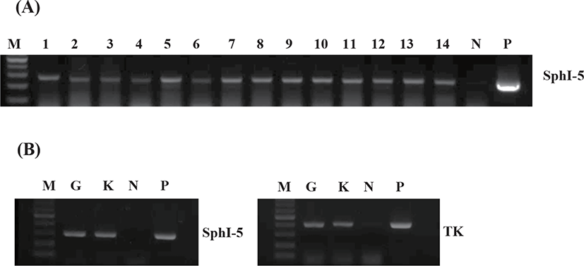 dr-24-4-277-g3