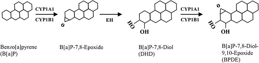 dr-25-1-15-g1