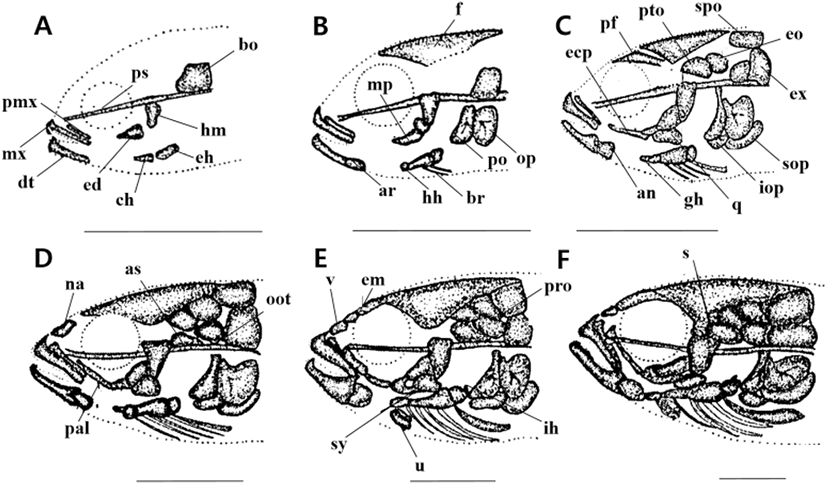 dr-25-1-33-g1