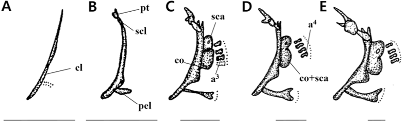 dr-25-1-33-g3