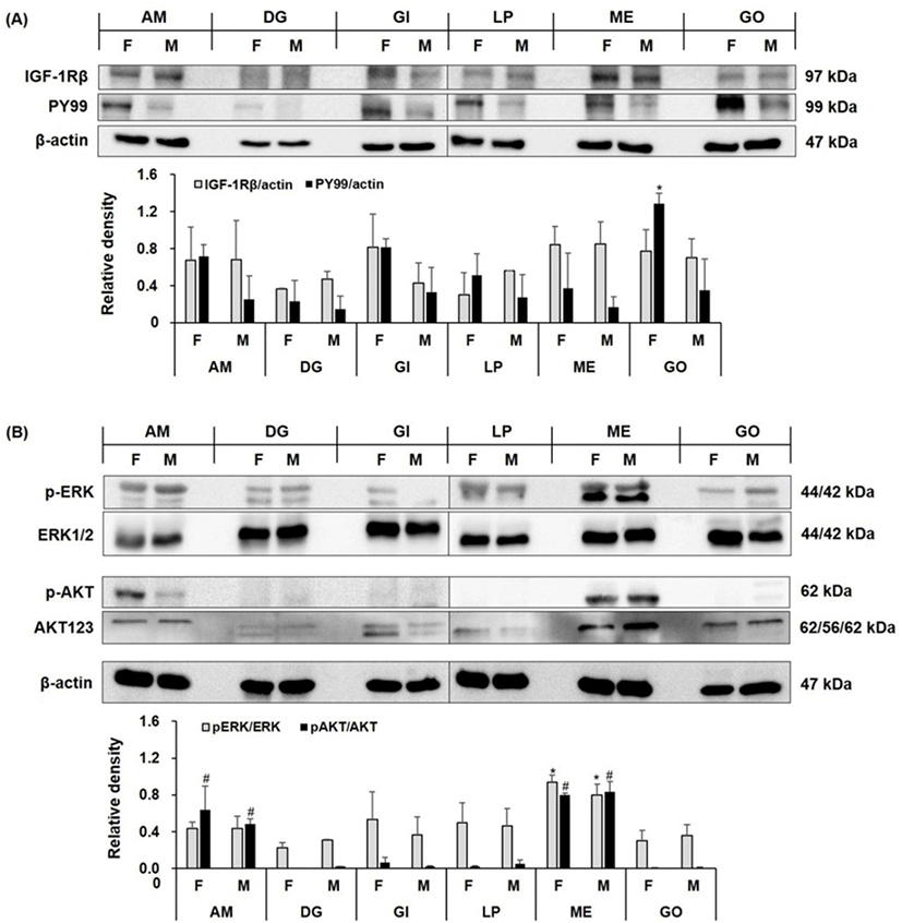 dr-25-1-67-g2