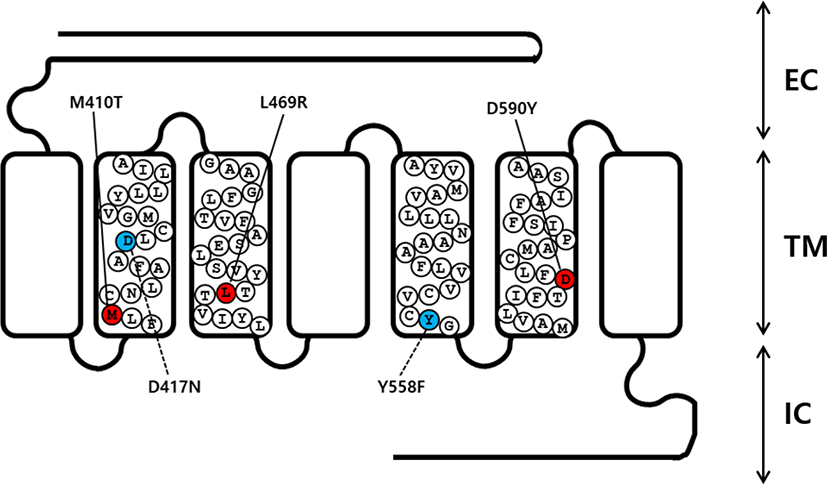 dr-25-3-133-g1