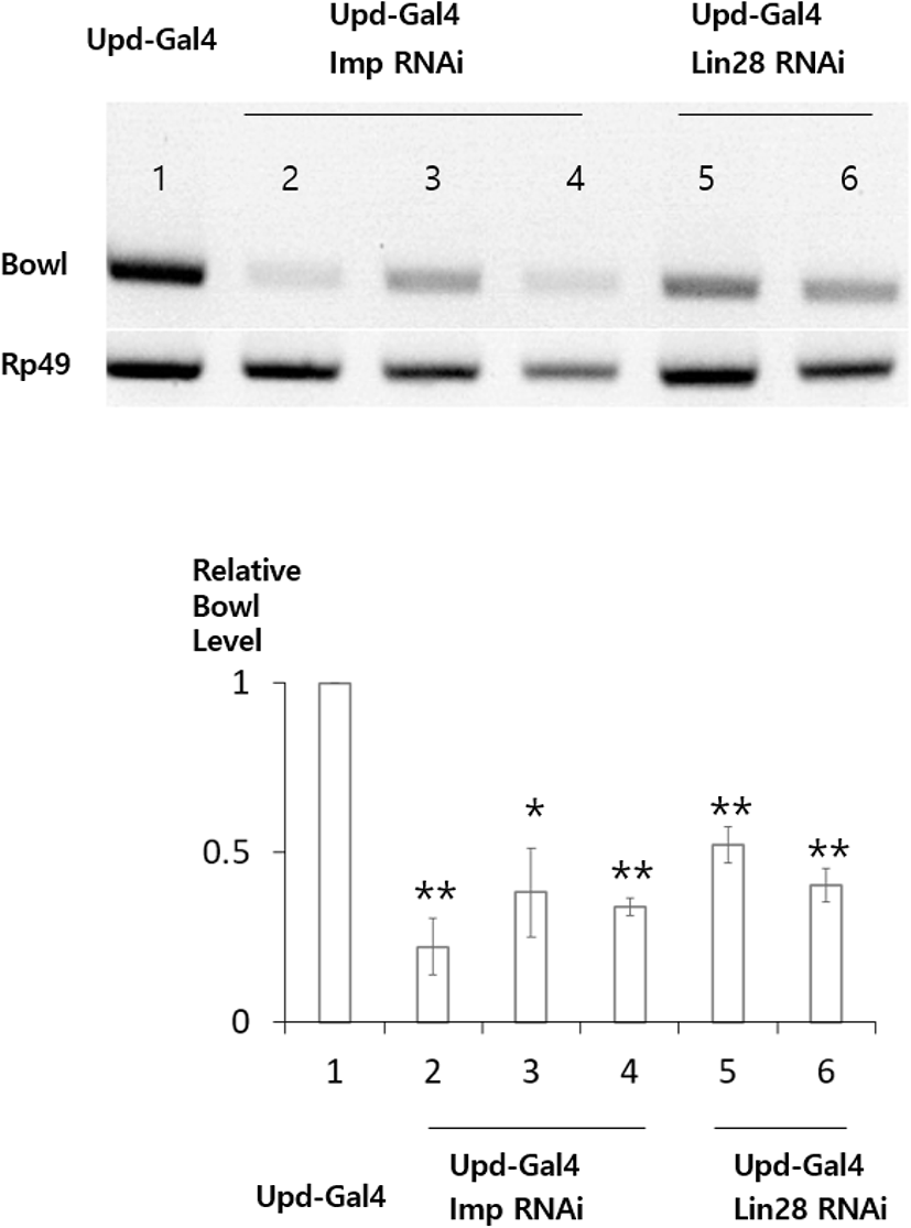 dr-25-4-313-g2