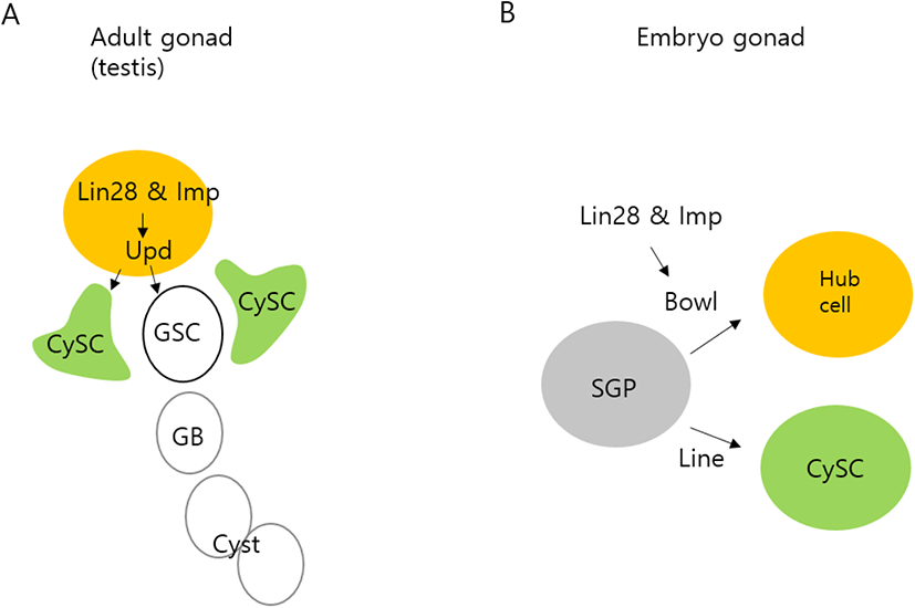 dr-25-4-313-g4