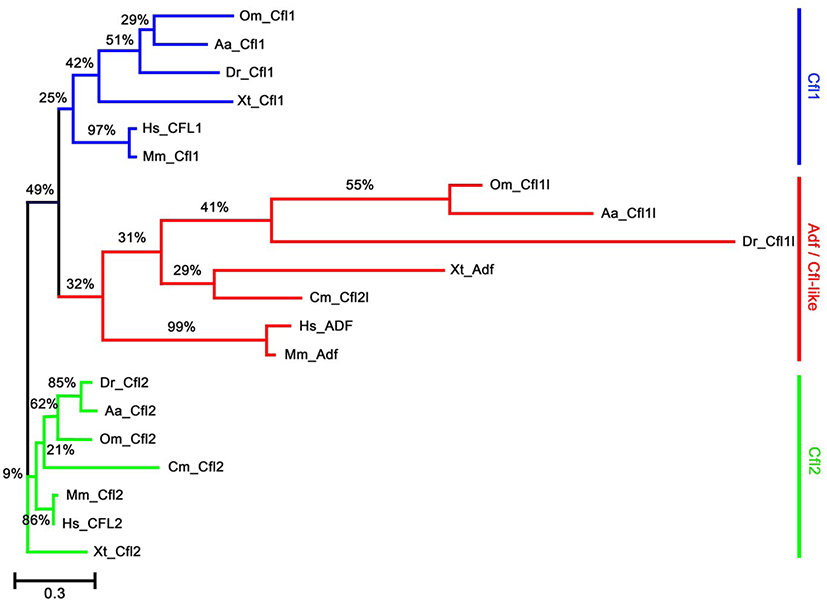 dr-26-1-23-g2