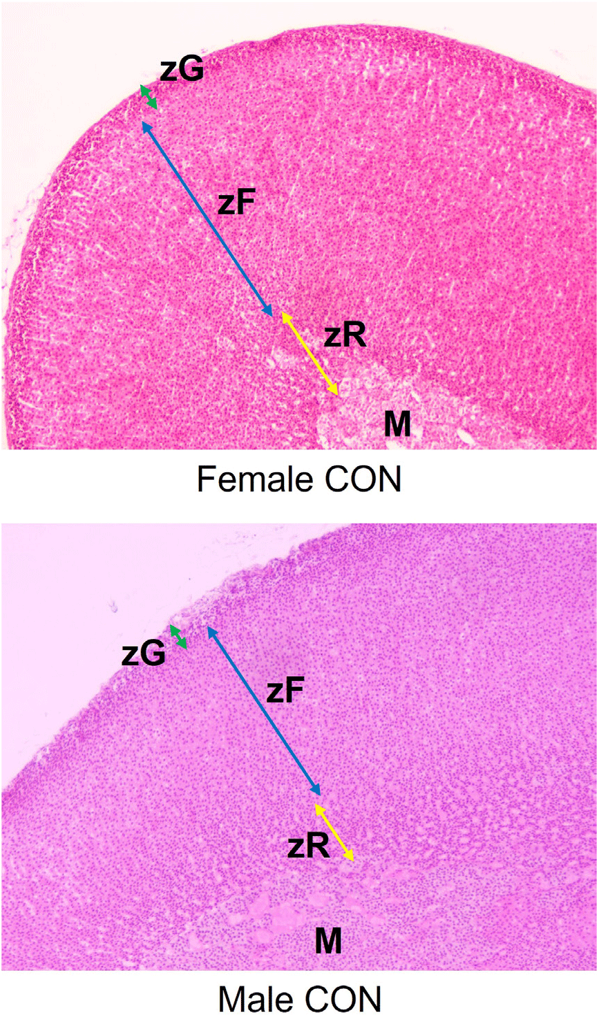 dr-26-4-175-g1