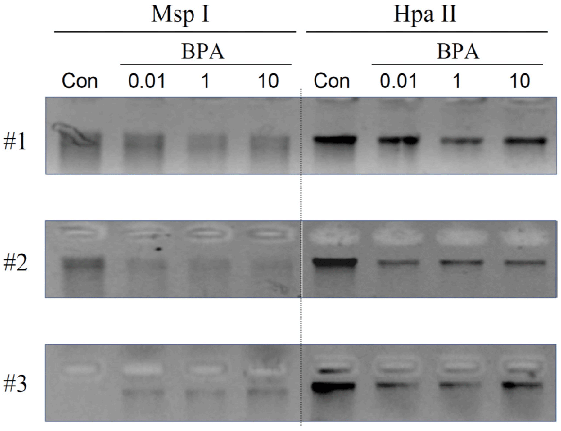 dr-27-4-195-g1