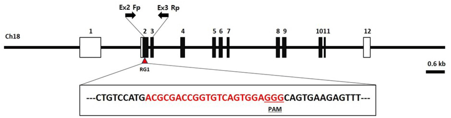 dr-27-4-205-g2