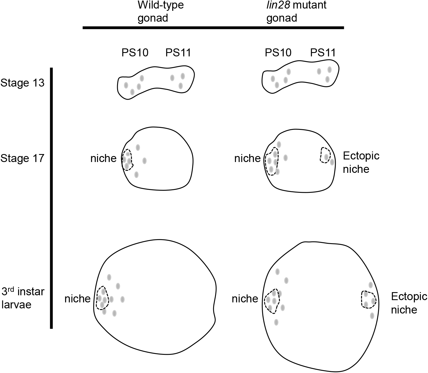 dr-27-4-221-g3