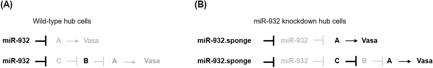dr-29-2-55-g5